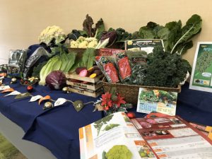 大阪市の都市農業で仕掛ける 新しいブランド=イタリア野菜!