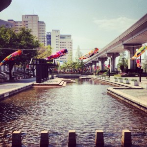 こいのぼりがいっぱい♪