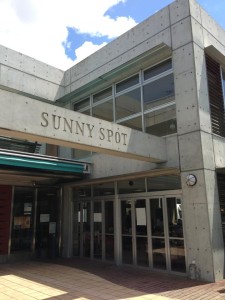 お墓参り代行プロジェクトがスタート！