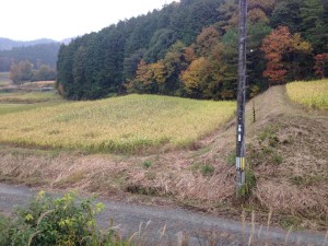 丹波篠山の農場を再訪