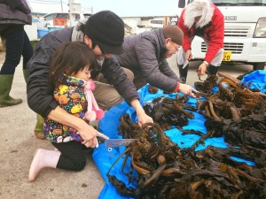 ＳＵＩでの漁港取材で泉南市の岡田浦漁港へ