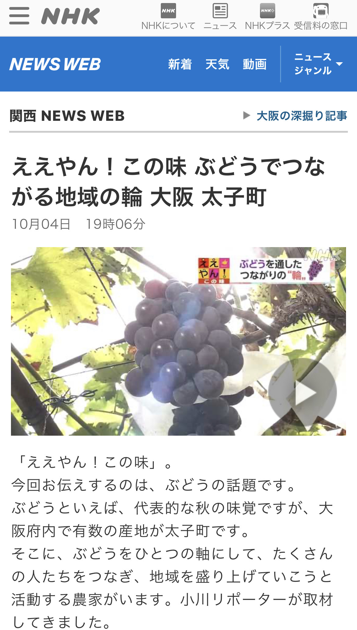 NHK「ほっと関西」のニュースに出演