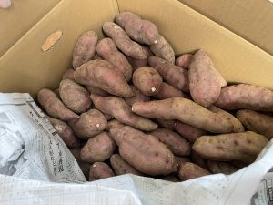 杉本町みんな食堂は、年明けから大賑わい!